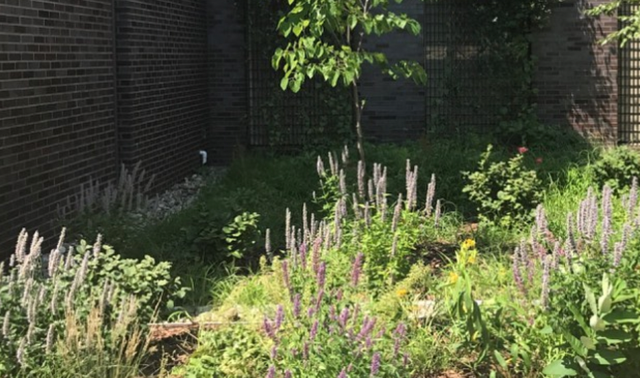 Screen Shot 2022-07-05 at 8.55.54 PM.png