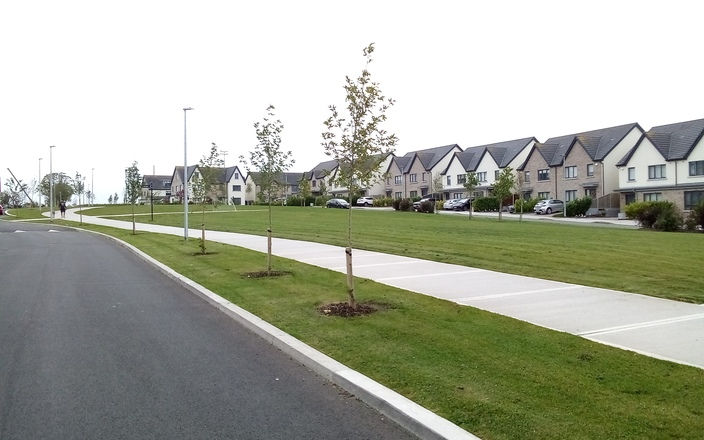 Tree Planting & Staking