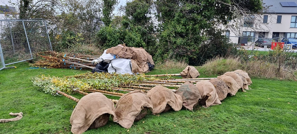 Trees Delivered On Site