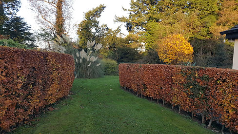 20231115_082616.jpg