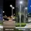 Thumbnail: Street Light Glass and Street Light Lens