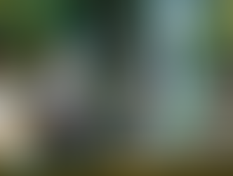 FINAL FANTASY XIV 光之父親 - 電視劇形式的宣傳片?