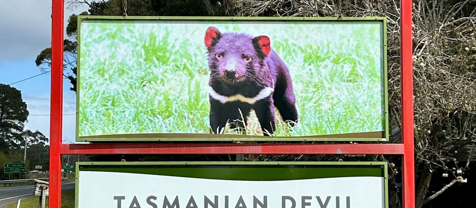 Tassie: A Week in Hobart and Beyond