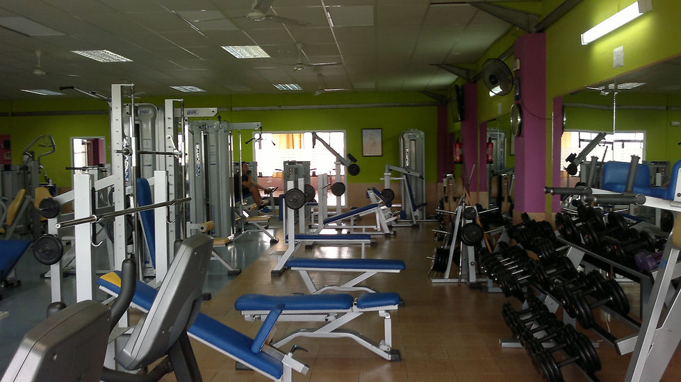 SALA MUSCULACION