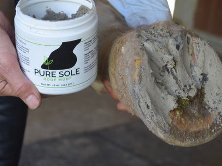 Get to know Pure Sole Hoof Mud