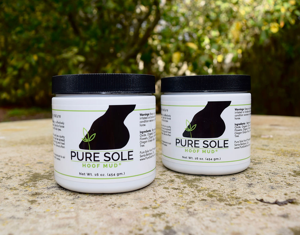 Pure Sole Hoof Mud, (2) 16 oz Barn Buddy Pack