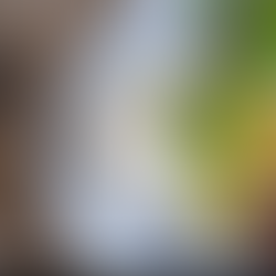 CÔTES DE PORC MARINÉES À LA SAUCE SOJA 