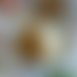 Poulet Sauté au Basilic Thaï