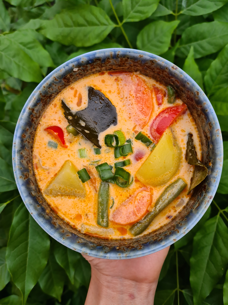 Soupe de Curry Rouge Thaï Végétarienne / Veggie