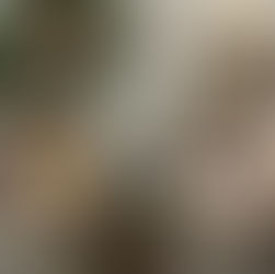 DIM SUM PARTY - SAUCES POUR LES RAVIOLIS