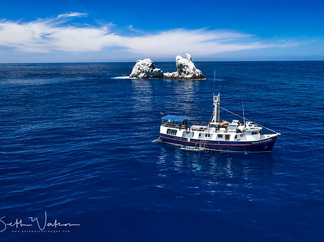 Mexico_Liveaboards_Socorro (21).jpg