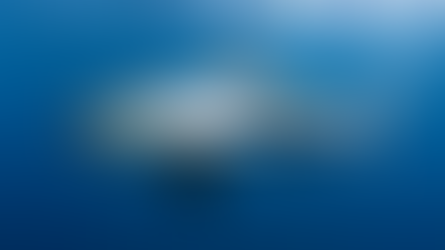 Common Thresher Shark