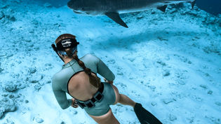 Meet Shark Guardian Ambassador Kendall Rose