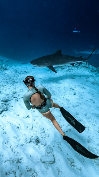 Kendall Shark Guardian Ambassador