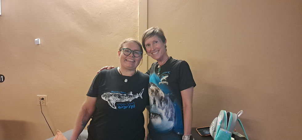 Swim for sharks