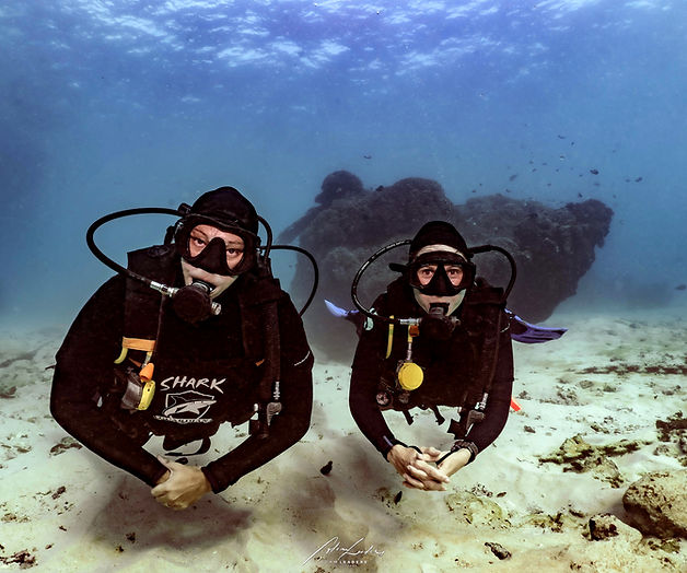 Shark Guardian directors shark diving