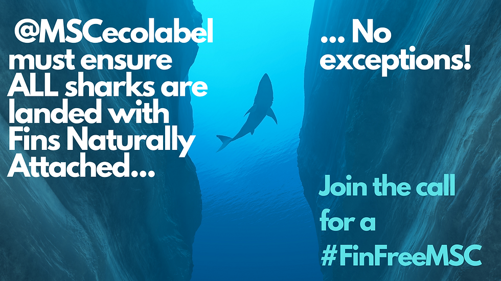 FNA + #FinFreeMSC.png