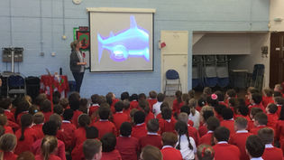 UK School hosts Shark Guardian