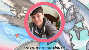 September Eco-Artist: Caiti Rose, Sharktopia