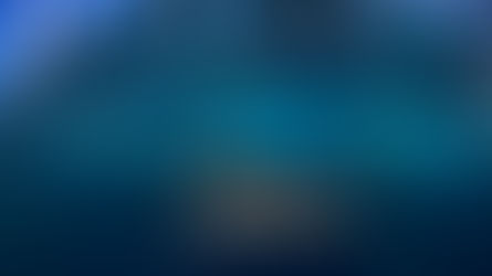 Why sharks matter. Their Top 5 ecosystem roles 