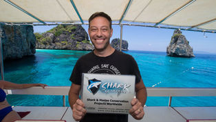 Shark Guardian 1st Quarter Update