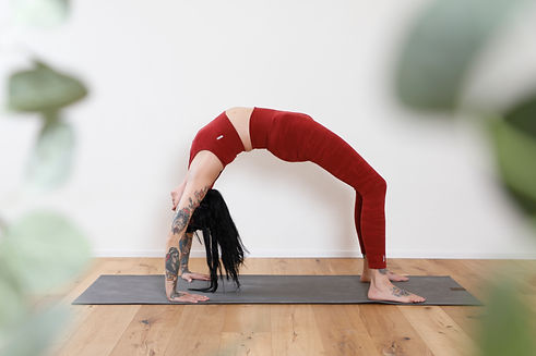 UrdvaDhanurasana.jpg