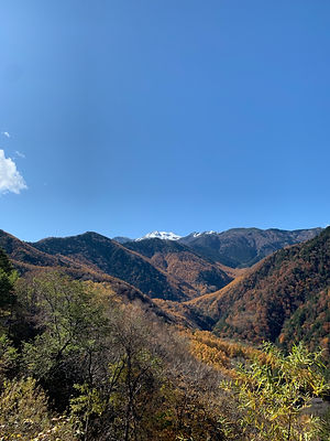 IMG_2908.jpeg