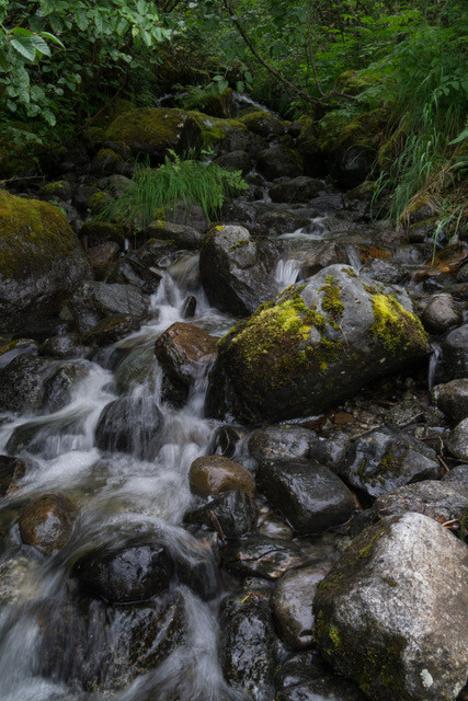 Sheep Creek, Juneau, Alaska