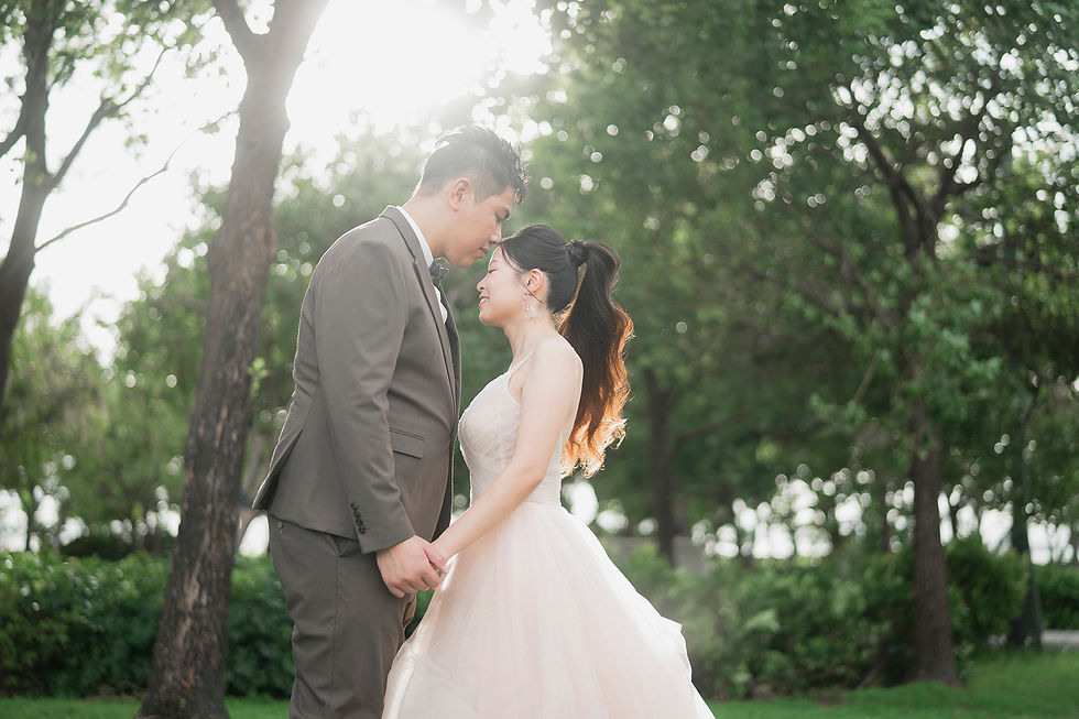 prewedding M＋
photo by palphotography 
gown by monicawedding 