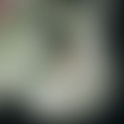 Laulību gredzens - paliekoša vērtība no jūsu kāzu dienas