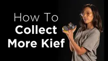 3 Tips to Collect More Kief from Your Grinder