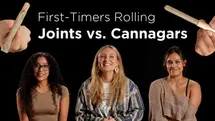 Beginner's Rolling Challenge: Joints vs. Cannagar