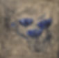 blauer+mohn.jpg