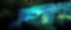 cavern_course3_edited.jpg