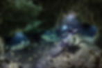 A DPV cave diver swims in the Hatzuts Aktun cenote (Mexico).jpg
