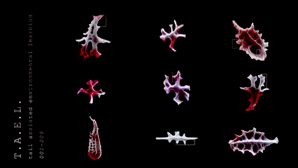 tael2.gif