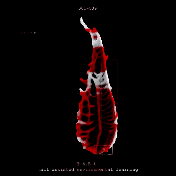 tael3.gif