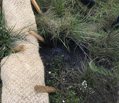 bluwatr Anaerobic Sludge Eliminator.jpg