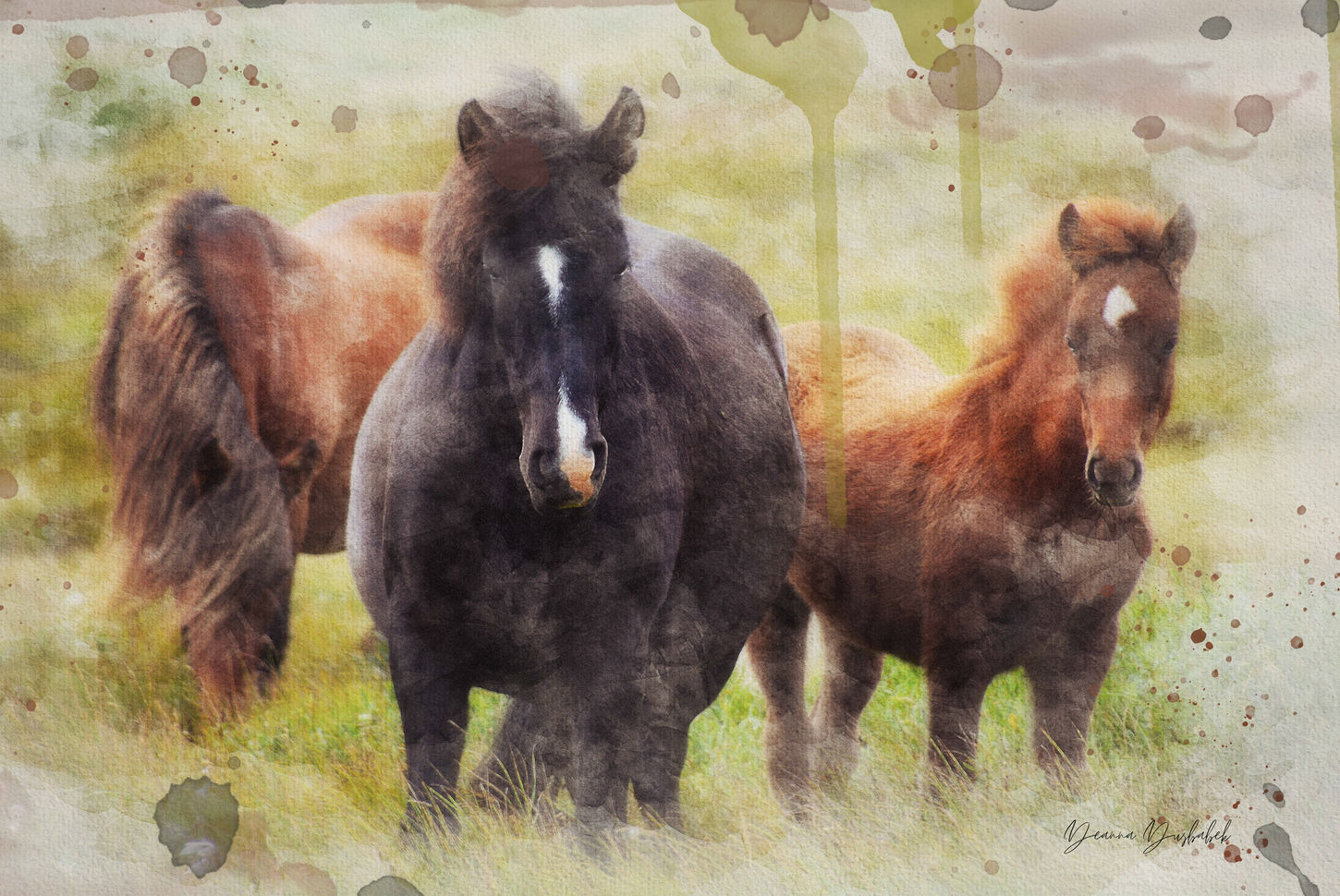 Deanna Dusbabek Art Painted Photographs
