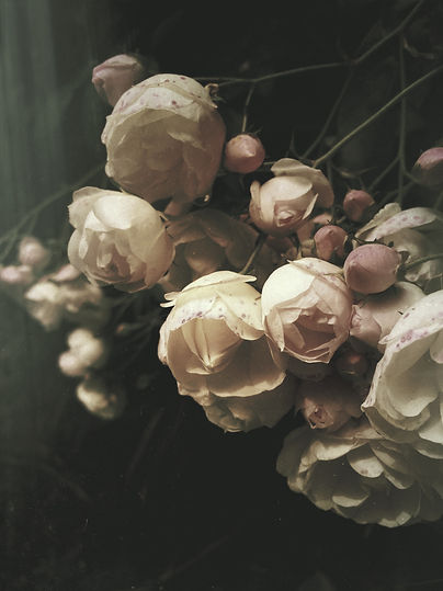 Deanna Dusbabek Photography fine art flower photography