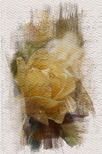 Original photograph painted photo by Deanna Dusbabek of a pale yellow rose, vintage textures and writing and altered to look like a watercolor painting on watercolor paper.