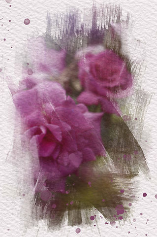 Original photograph painted photo by Deanna Dusbabek of pink roses and green leaves altered to look like a watercolor painting on watercolor paper.