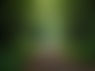 Unlocking Potential Through Personal Growth Journeys