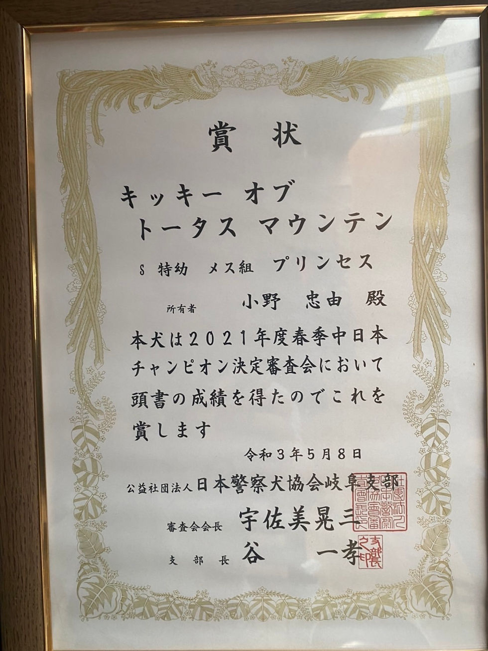 IMG-3941