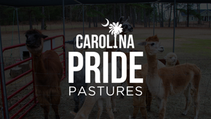 Creating a Stronger Farm Experience Through Branding, Digital Strategy, and Online Booking