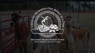 Modernizing a Family Farm’s Digital Presence to Better Connect with Local Visitors