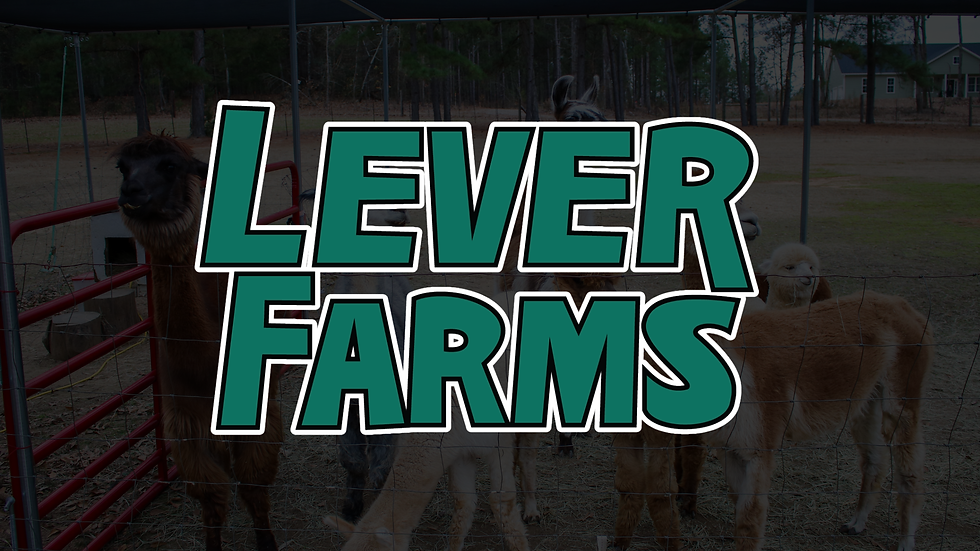 Connecting the Digital and On-Farm Experience for a Family Agritourism Destination