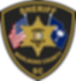 A detailed gold Sheriff star badge insignia symbolizing high-security standards for detention facilities.