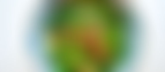 Hui Tomato Beef Noodle Soup,The Silk Road, Kraftwerk, Coldplay, Yo-Yo Ma & the Silkroad Ensemble