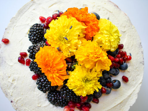 Blueberry Lemon Icebox Cake, A Bear in Ralphs, Walton, Lovett & Jungle Book